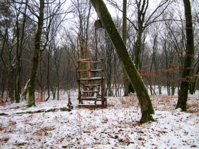 20121202Schwetzinger_Hardt20