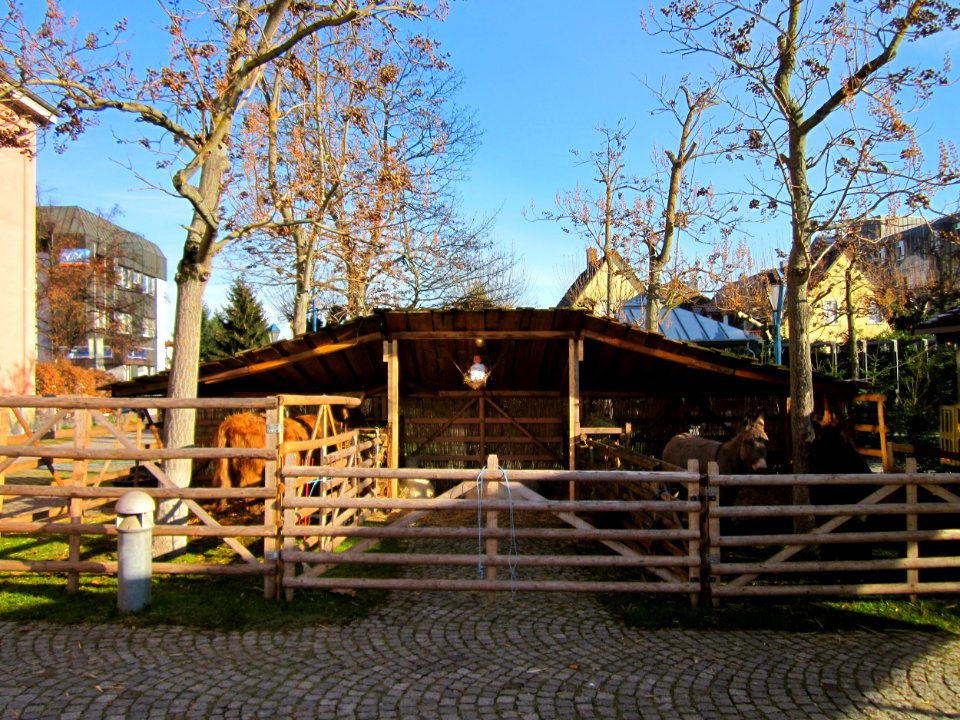20121201Krippe_Hockenheim1