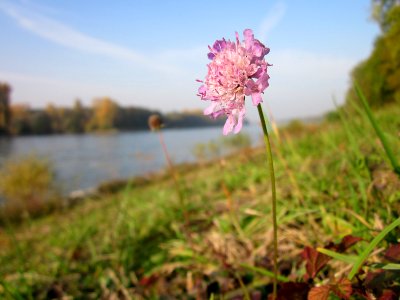20121022Rhein_Hockenheim07