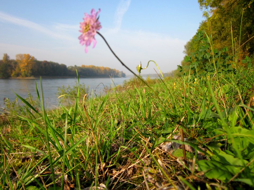 20121022Rhein_Hockenheim12