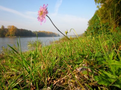 20121022Rhein_Hockenheim12