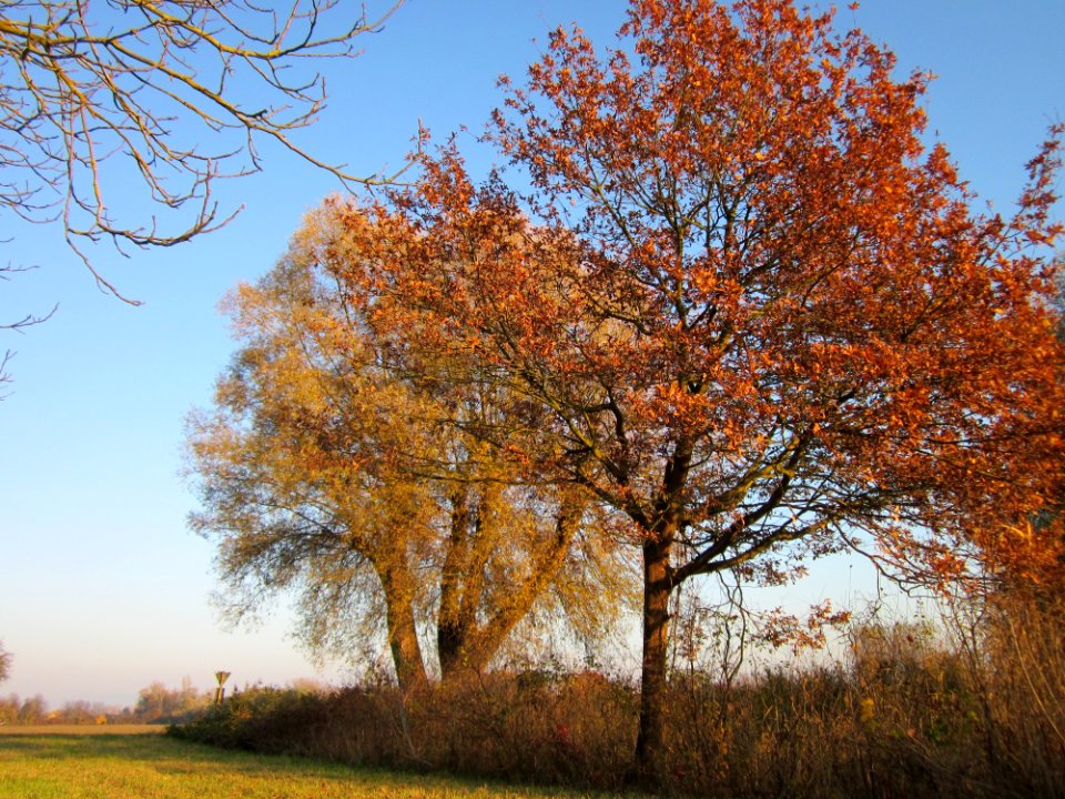20121113Schleiwiese08