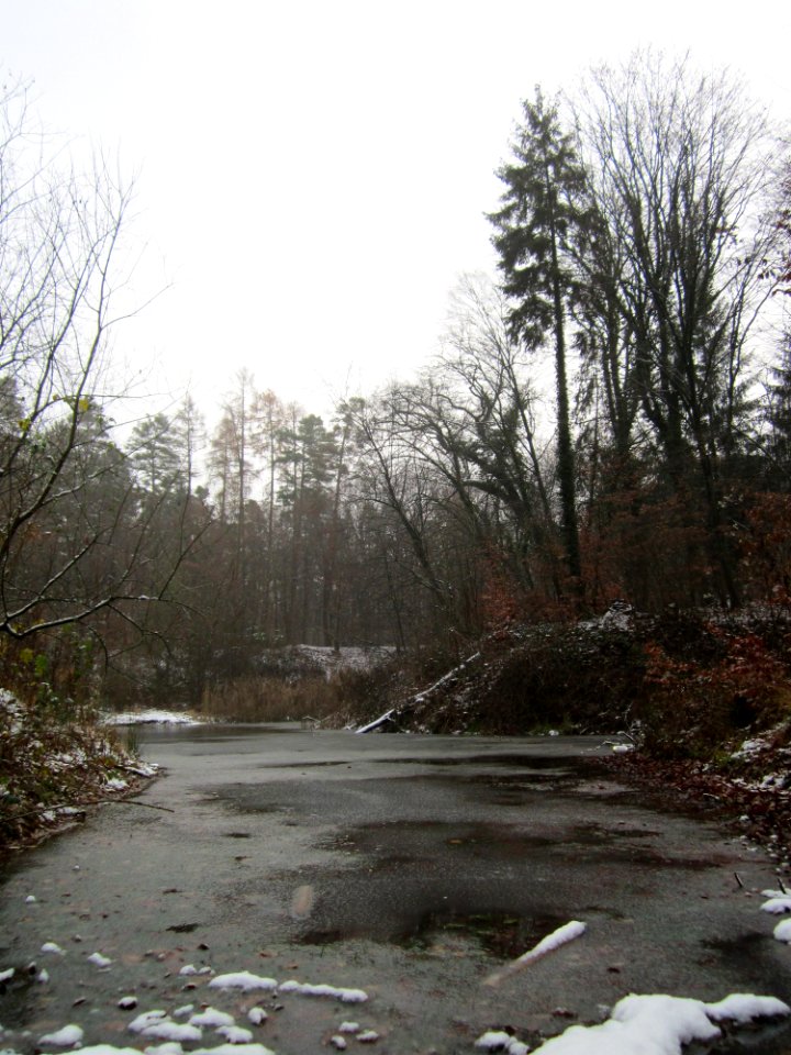 20121202Schwetzinger_Hardt33