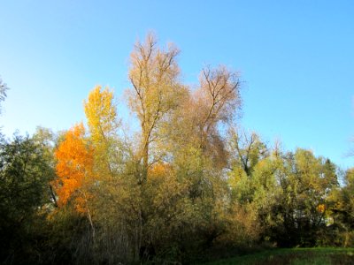 20121113Tongrube_Ketschau2