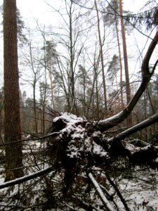 20121202Schwetzinger_Hardt02
