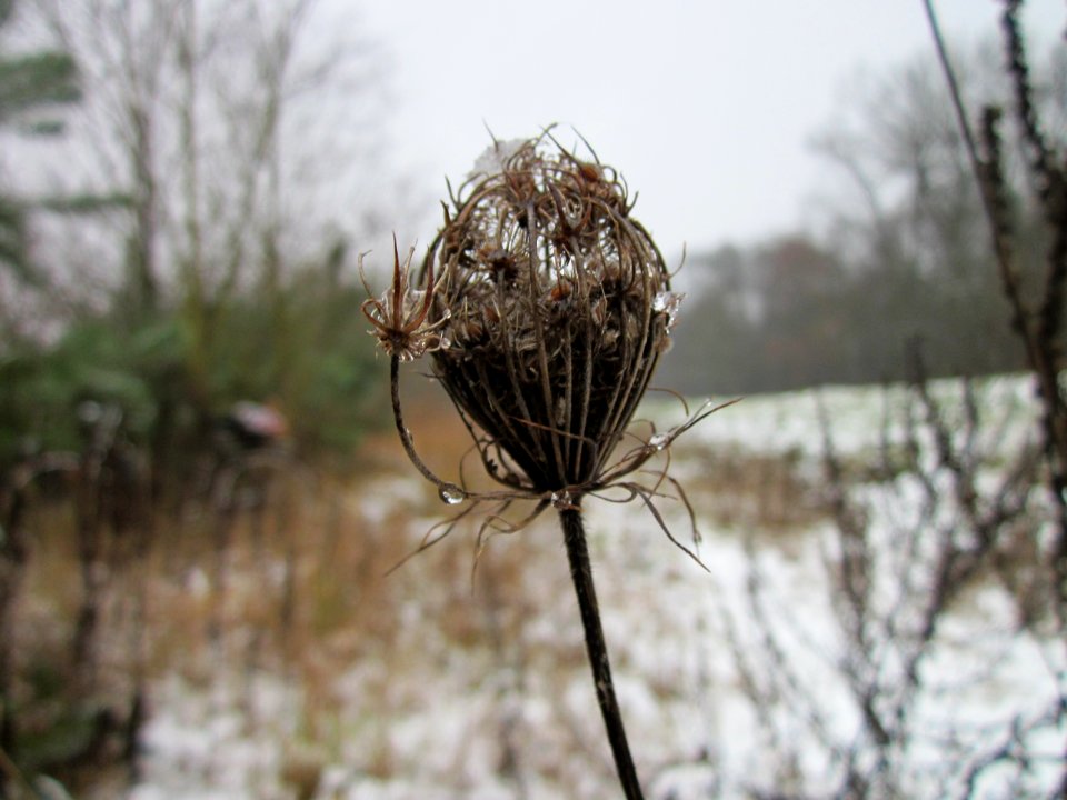 20121202Schwetzinger_Hardt15