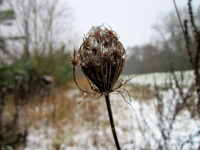20121202Schwetzinger_Hardt15