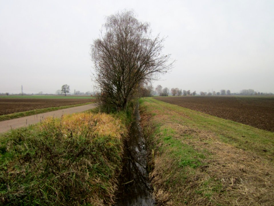20121123Alter_Kraichbach_Hockenheim2