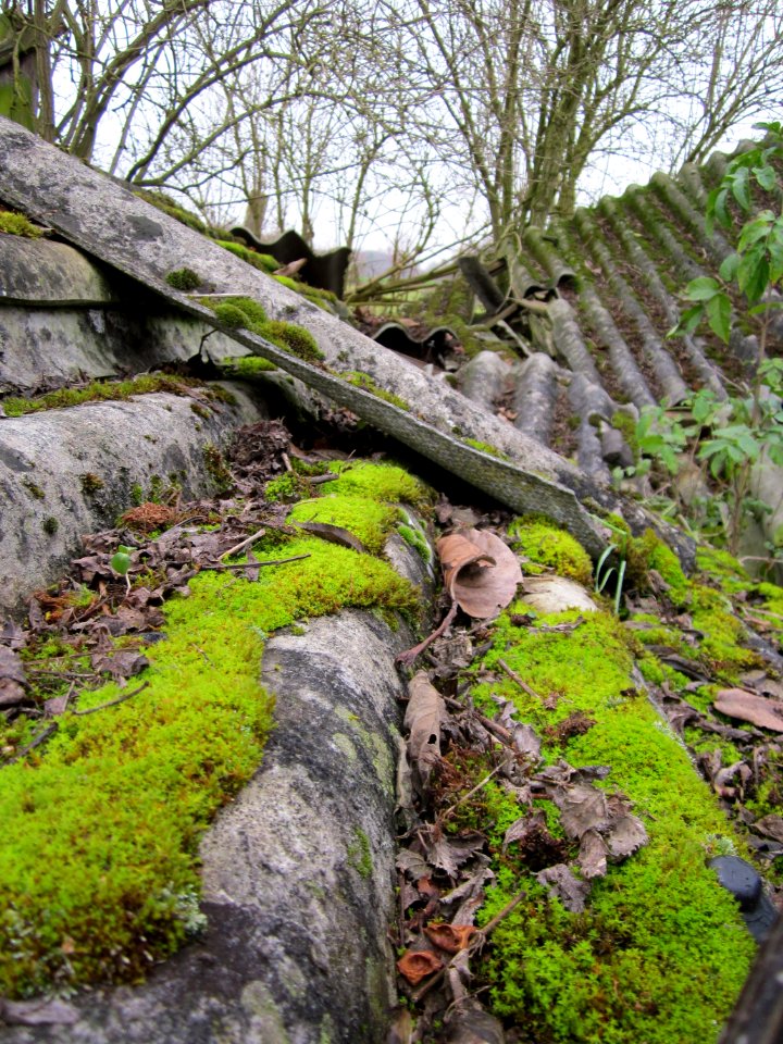 20121123Schuppen_Hockenheim2