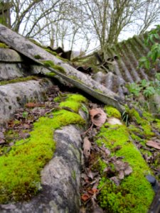 20121123Schuppen_Hockenheim2