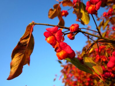 20121113Pfaffenhuetchen_Hockenheim5