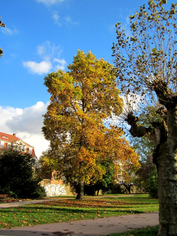 20121106Staden_Saarbruecken04