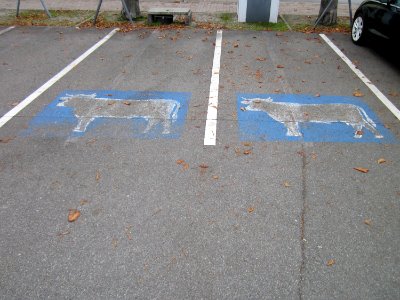 20121124Parkplatz_Schwetzingen3