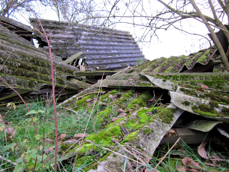 20121123Schuppen_Hockenheim1