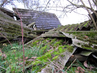 20121123Schuppen_Hockenheim1