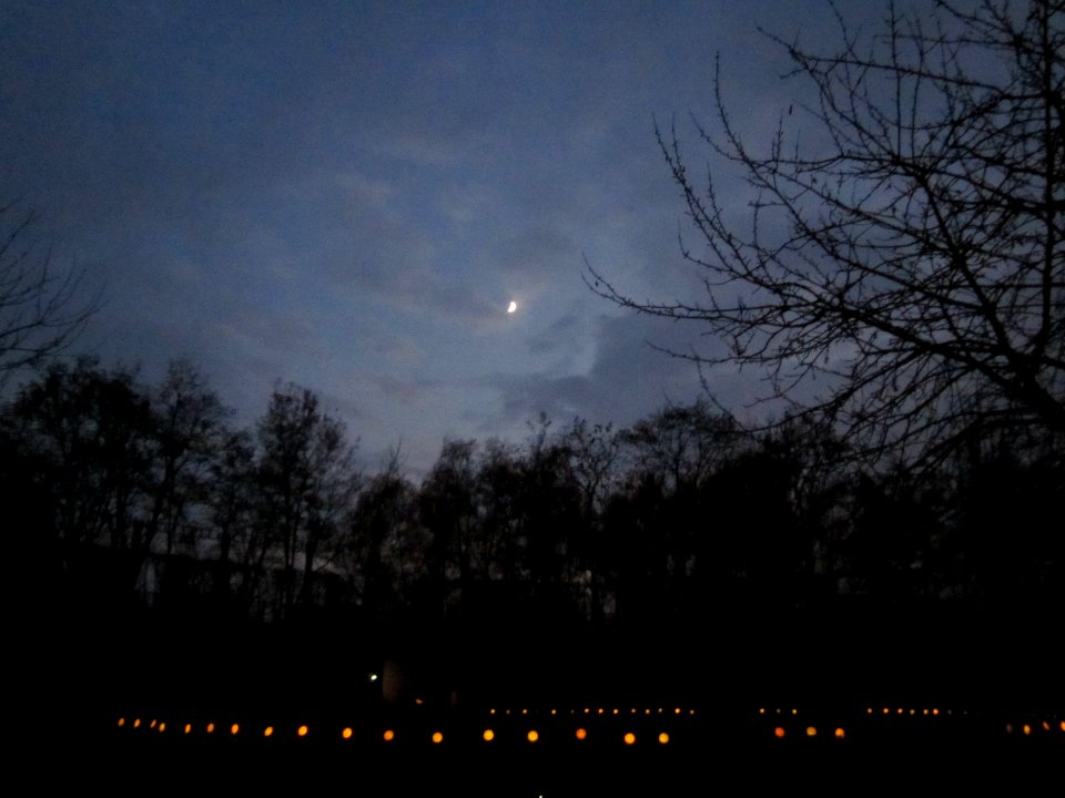 20121118Buergerpark1