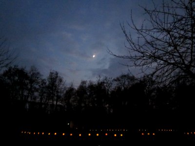20121118Buergerpark1