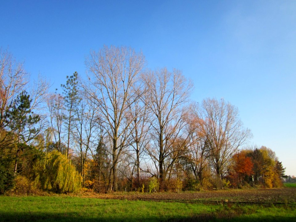 20121113Holzgraben_Ketschau4
