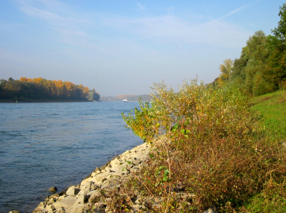 20121022Rhein_Hockenheim01
