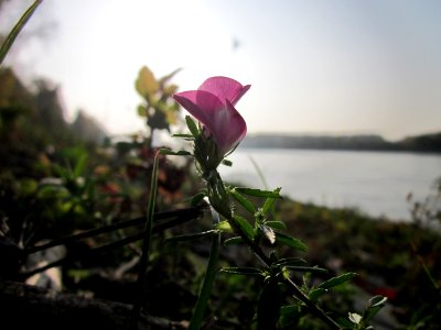 20121023Rhein_Hockenheim6