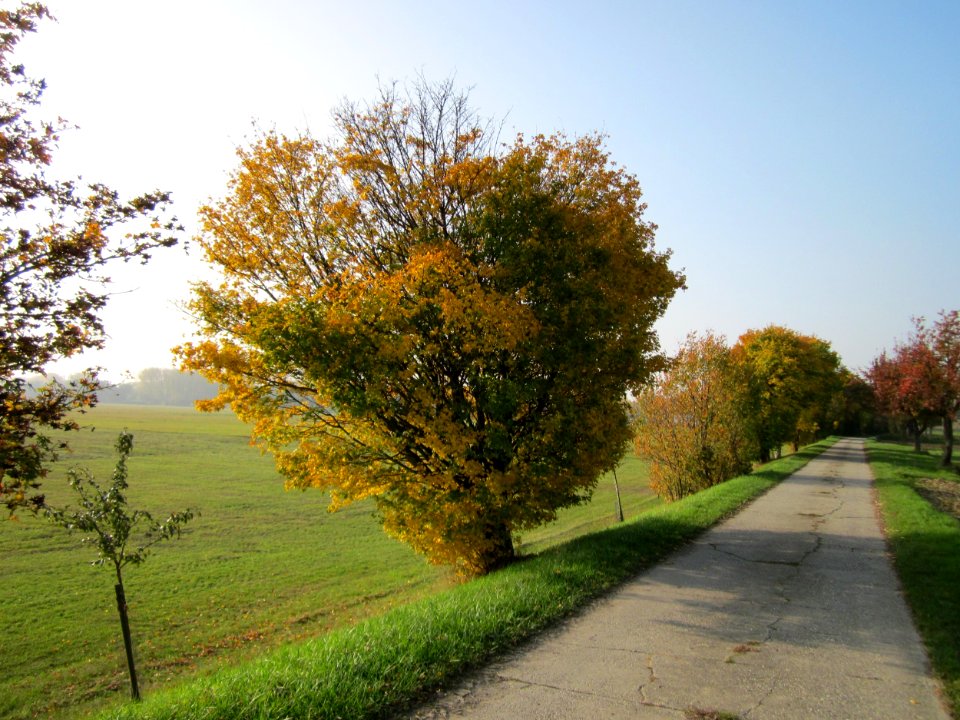 20121023Feldahorn_Hockenheim3
