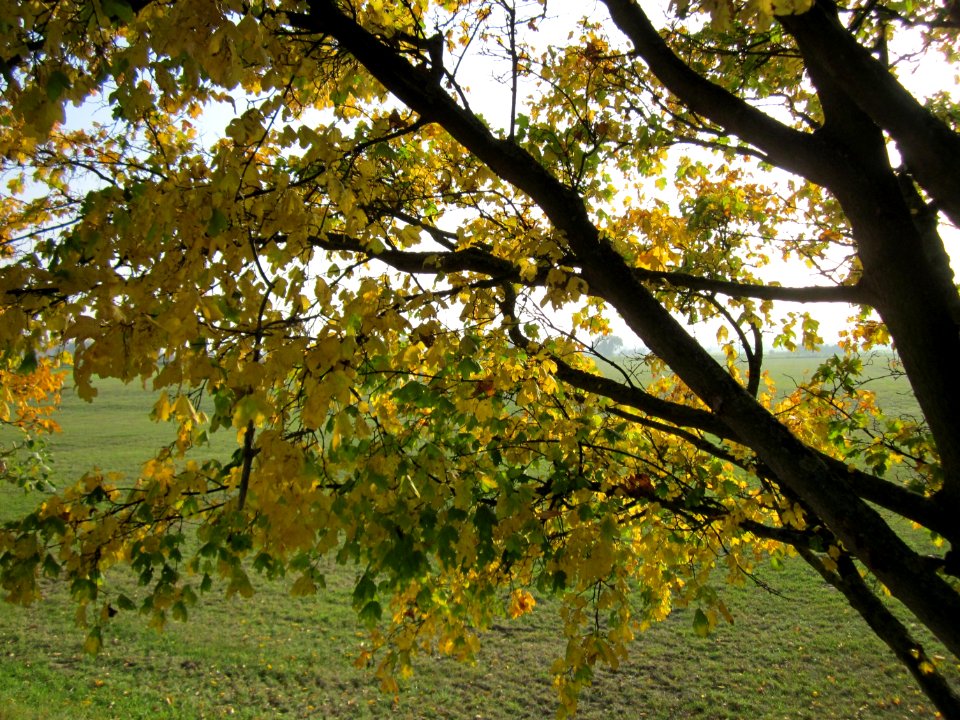 20121023Feldahorn_Hockenheim8