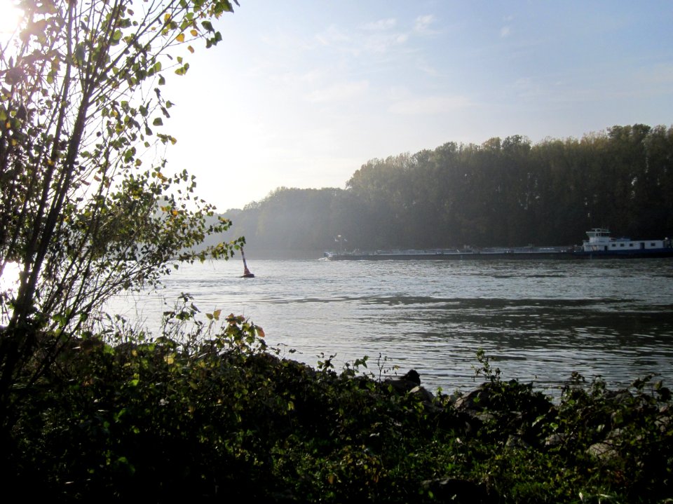 20121022Rhein_Hockenheim02