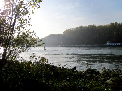 20121022Rhein_Hockenheim02
