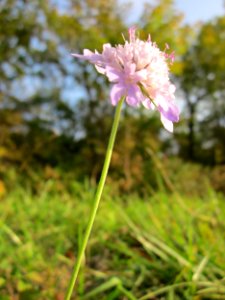 20121022Rhein_Hockenheim05