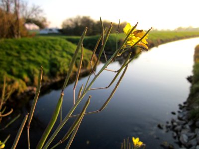 20121113Rauke_Hockenheim1
