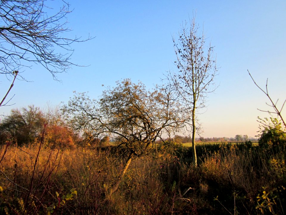 20121113Schleiwiese04