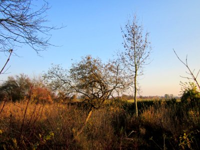 20121113Schleiwiese04