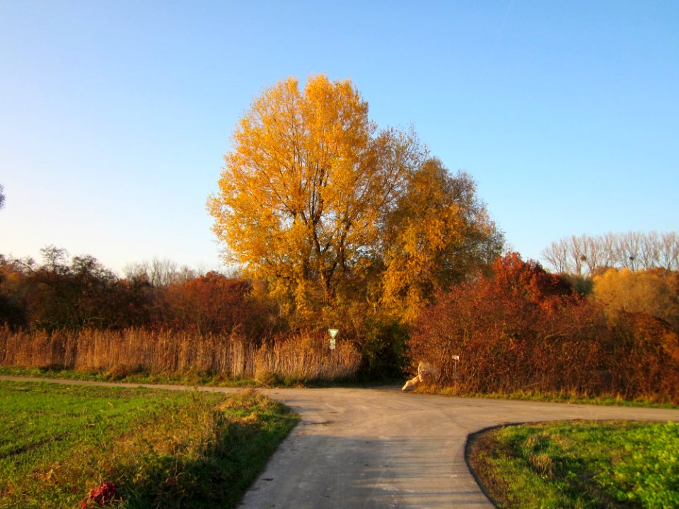 20121113Schleiwiese09
