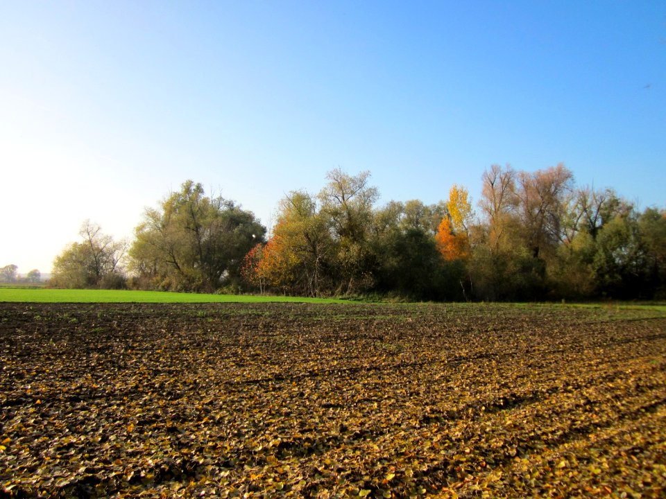 20121113Tongrube_Ketschau1