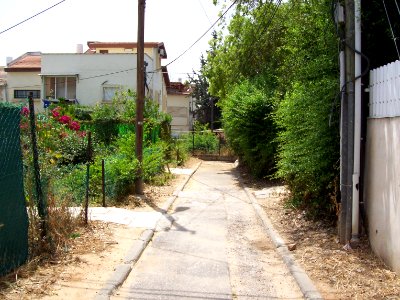 100_0002_einstein_st_ramat_gan_2008