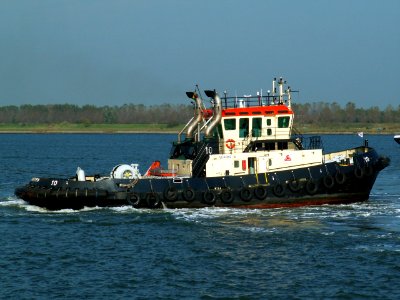 10_IMO_6503502