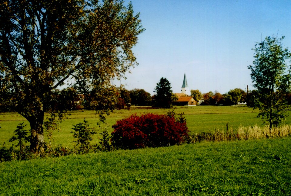 1_01_Blick_über_die_Feuchtwiesen_westlich_vom_Pöttinger_Weg_auf_Taufkirchen_-_Aufnahme_Okt_2006