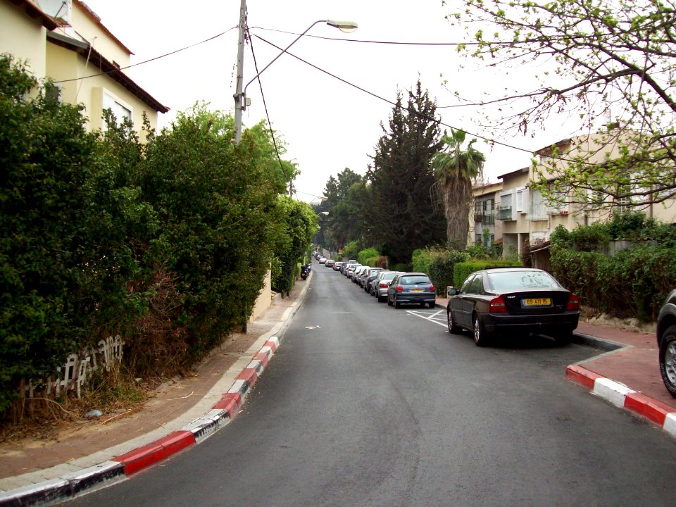 100_0040_einstein_str_ramat_gan_2008
