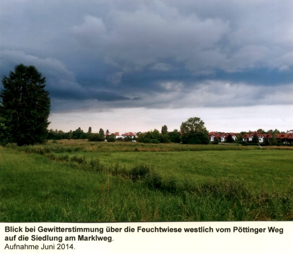 1_15-03_Blick_über_die_Feuchtwiese_westlich_vom_Pöttinger_Weg_auf_die_Siedlung_am_Marklweg