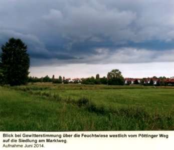 1_15-03_Blick_über_die_Feuchtwiese_westlich_vom_Pöttinger_Weg_auf_die_Siedlung_am_Marklweg