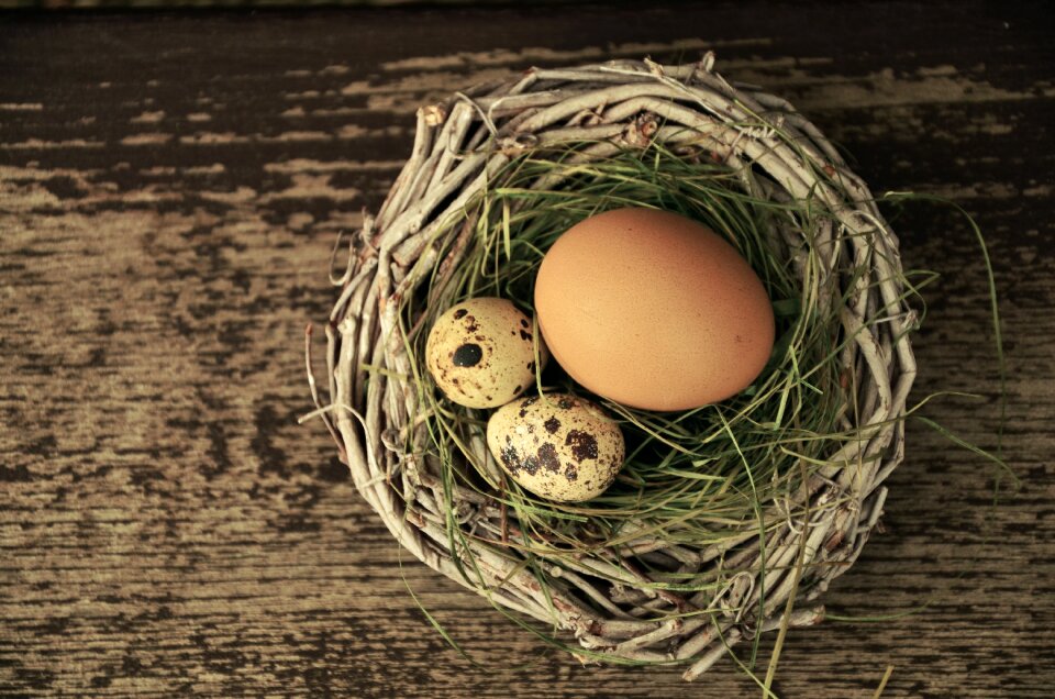 Easter easter nest easter decoration