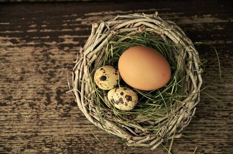 Easter easter nest easter decoration