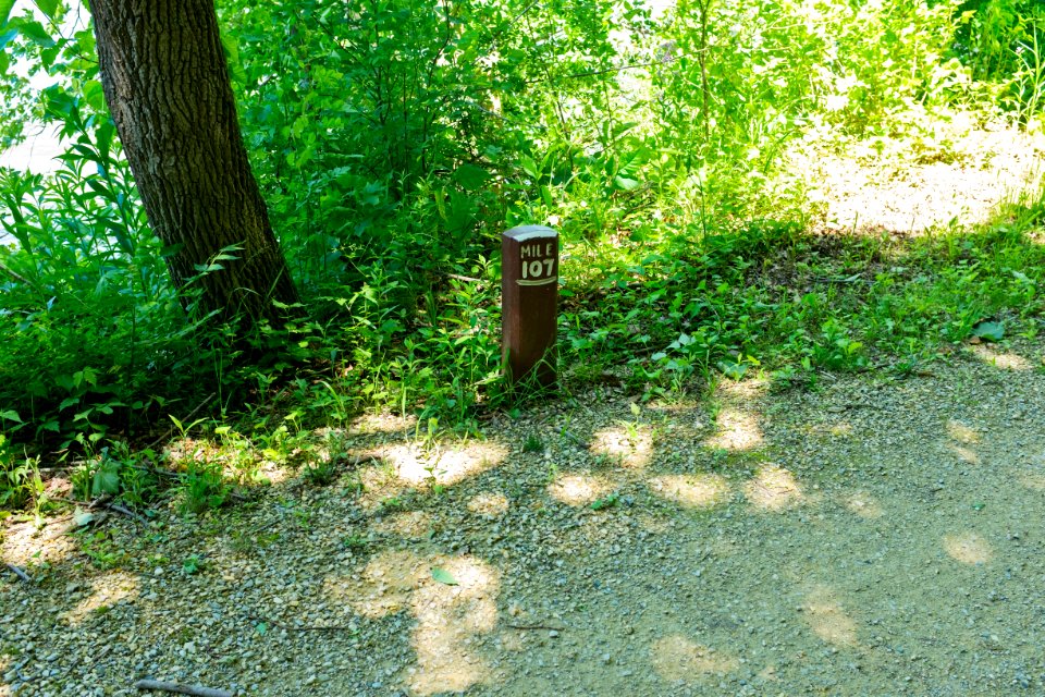 107_mile_marker_on_C_and_O_Canal_above_little_Slackwater_before_Lock_45