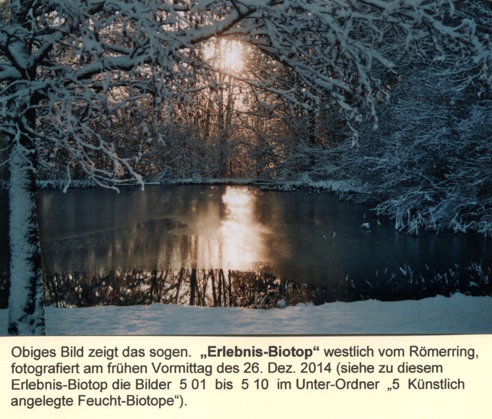 1_15-04-08_Beim_-Erlebnis-Biotop-
