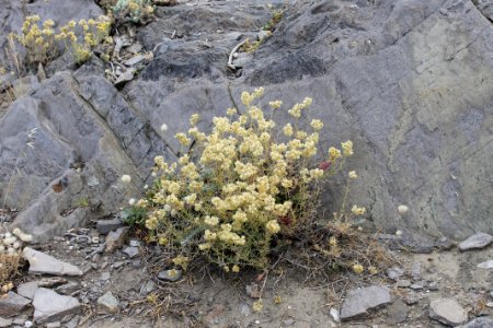104-Parc_Cap_de_Creus