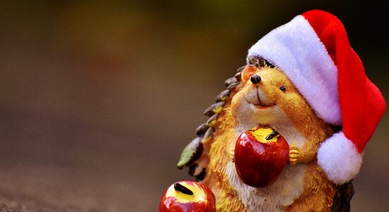 Santa hat decoration funny
