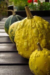 Garden decorative autumn