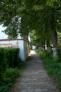 0398_July_2016_in_Suzdal,_Vladimir_Oblast,_Russia