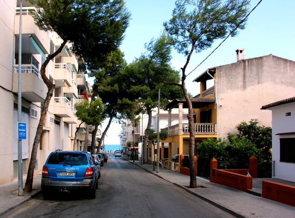 101_Strassenzug_mit_Baeumen_in_Cala_Millor