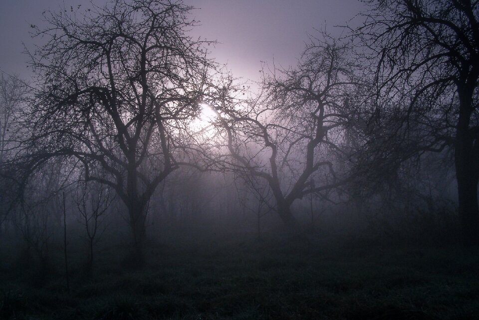 Evening haze horror movie